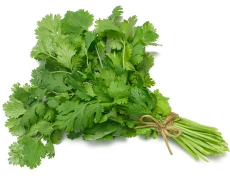 Coriander Essential Oil Egypt 2